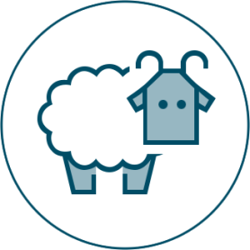 Icon 2